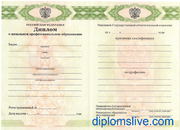 Диплом училища 2010-2025